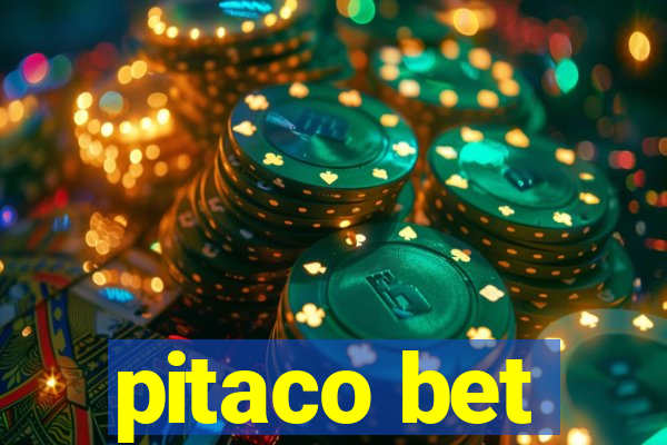 pitaco bet